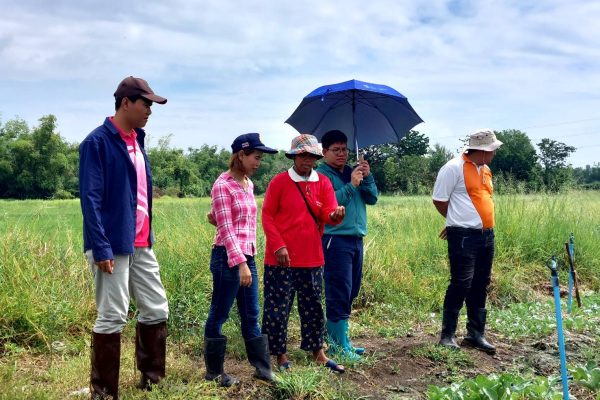 สำรวจติดตามสถานการณ์การระบาดศัตรูพืช (พืชผัก)และให้คำแนะนำการป้องกันกำจัดศัตรูพืชผักโดยวิธีผสมผสานในพื้นที่อำเภอขามทะเลสอ จังหวัดนครราชสีมา