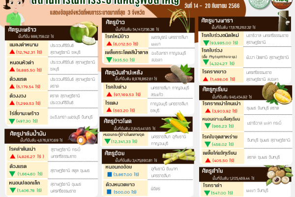 สรุปสถานการณ์การระบาดศัตรูพืชสำคัญ ระหว่างวันที่ 14 – 20 กันยายน 2566