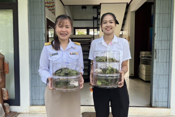 สนับสนุน มวนพิฆาต ให้กับสำนักงานเกษตรอำเภอสูงเนิน