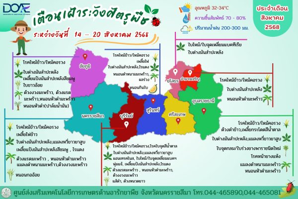 พยากรณ์สถานการณ์การระบาดศัตรูพืช ระหว่างวันที่ 14-20 สิงหาคม 2568