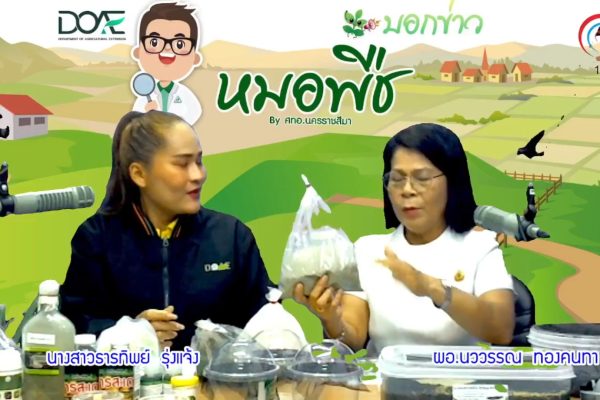 ศทอ.นครราชสีมา “ดำเนินการจัดรายการวิทยุ “หมอพืช บอกข่าว ” คลื่น 105.25 MHz (ระบบ FM) “