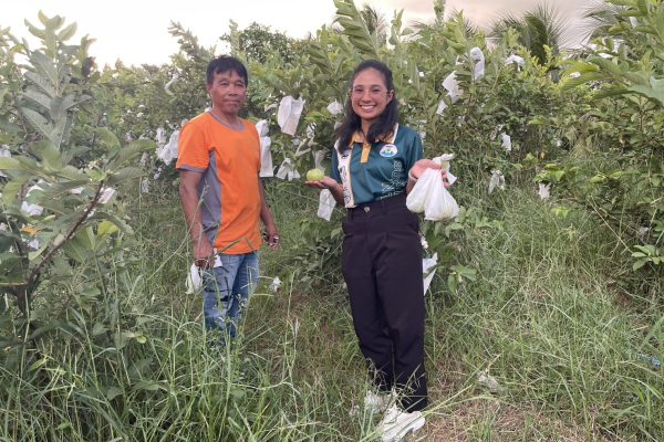 ศทอ.นครราชสีมา “สนับสนุนศัตรูธรรมชาติให้กับสำนักงานเกษตรอำเภอโนนสูง จังหวัดนครราชสีมา เพื่อนำไปใช้ควบคุมศัตรูพืชให้กับเกษตรกร
